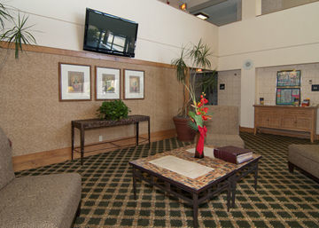 H I Express & Suites San Antonio Medical-Six Flags Экстерьер фото